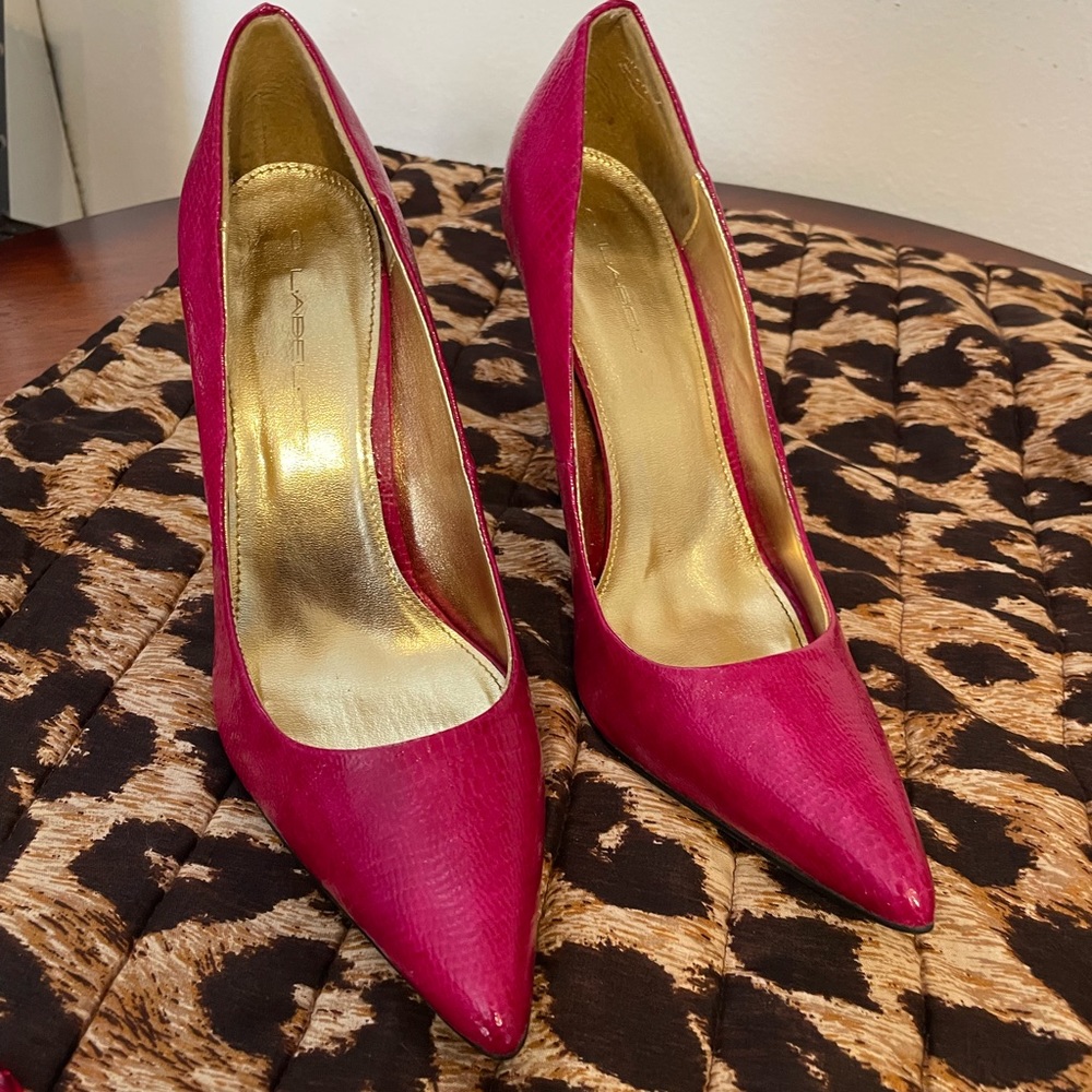 Dani - Just Fabulous Fuchsia Pumps